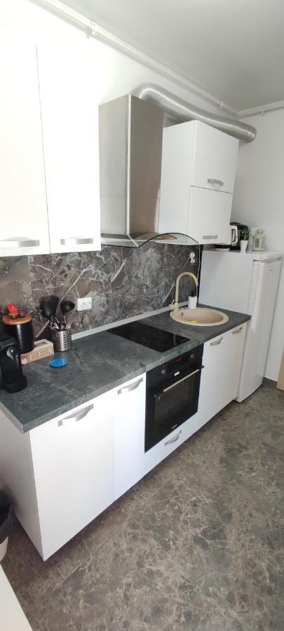 Belle View Sinaia-Free Parking Apartment Екстериор снимка